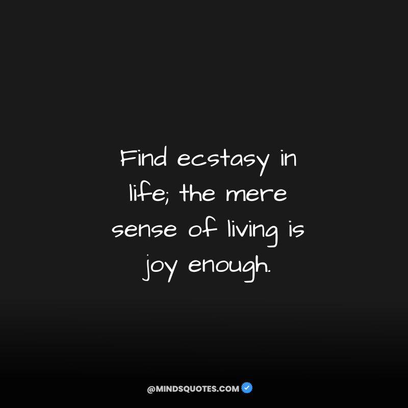 122+ BEST My Life My Rules Quotes for Attitude in English 35 My Life My Rules Quotes images