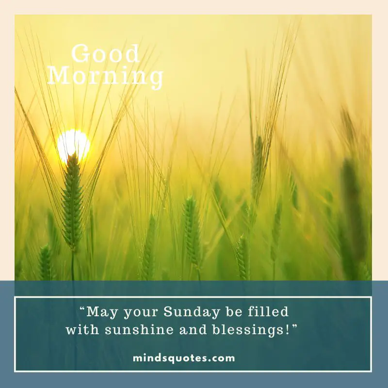 85 BEST Sunday Morning Quotes to Inspire You Every Week 23 Positive Sunday blessings Morning Quotes