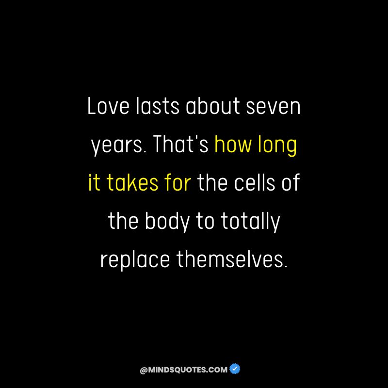 156+ BEST Love Failure Quotes That Will Make You Cry 22 Quotations About Love Failure
