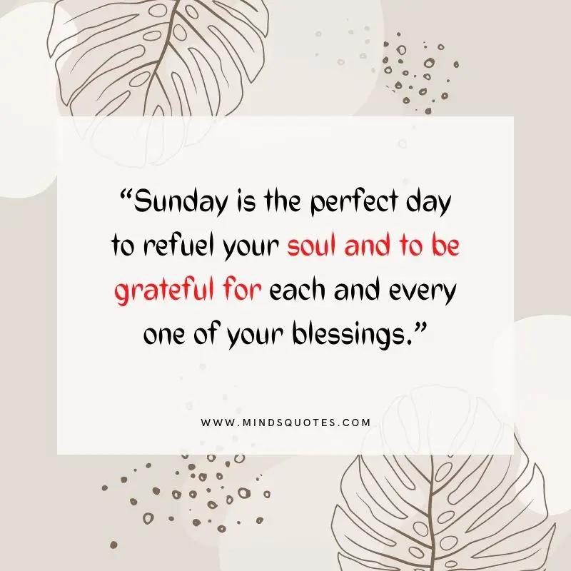 101+ BEST Happy Sunday Quotes for Inspiring Your Day 17 Quotes Sunday Blessings