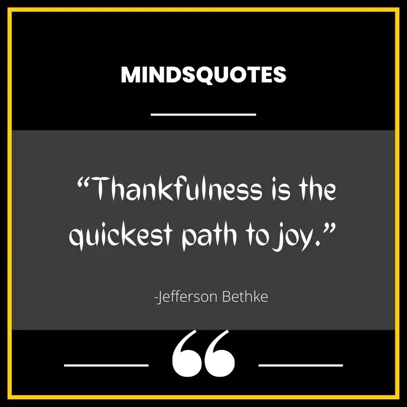 87+ BEST Quotes of Thankfulness & Gratitude in English 2 Quotes of Thankfulness
