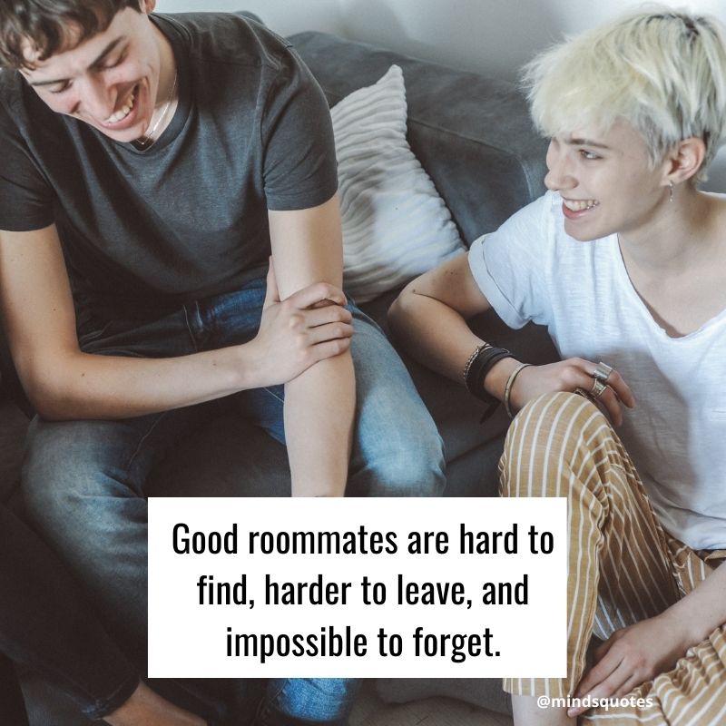 Good Roommate Quotes 