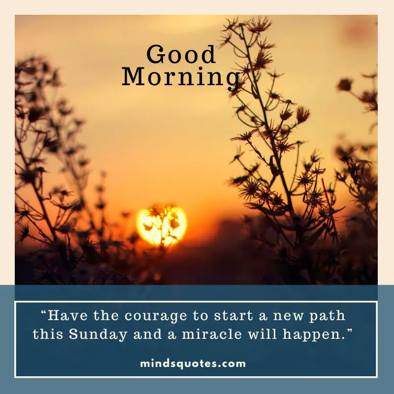85 BEST Sunday Morning Quotes to Inspire You Every Week 26 Sunday Good Morning Quotes for WhatsApp