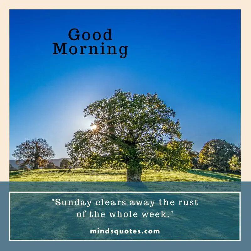 85 BEST Sunday Morning Quotes to Inspire You Every Week 17 Sunday Morning Quotes for Her