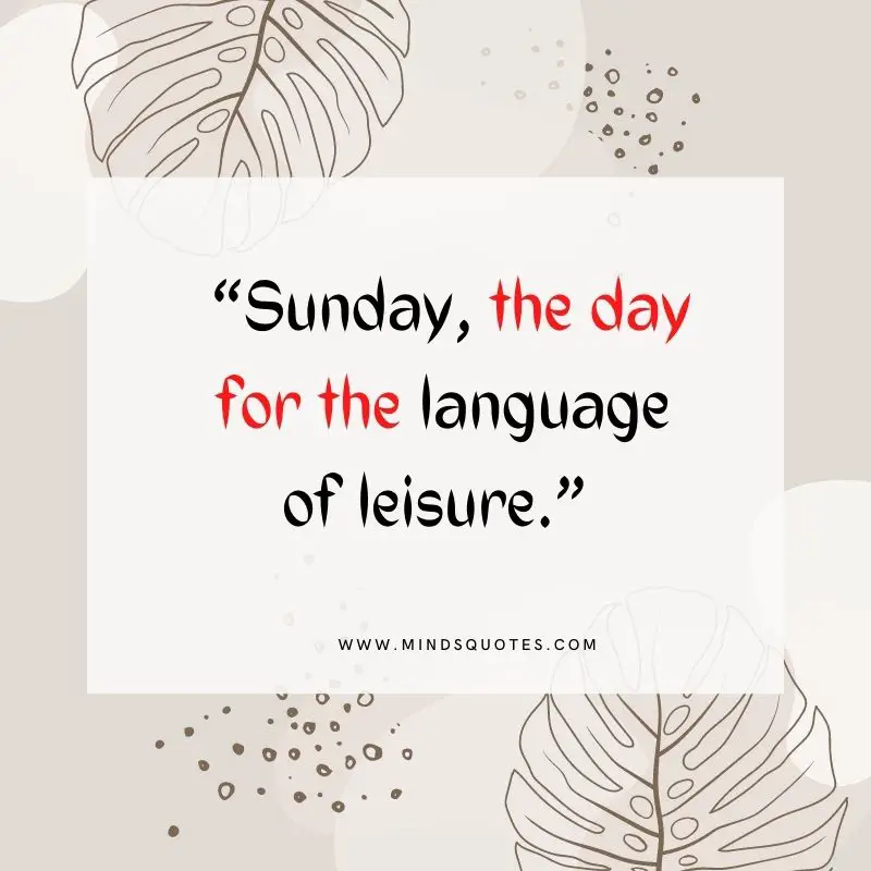 101+ BEST Happy Sunday Quotes for Inspiring Your Day 3 Sunday Quotes