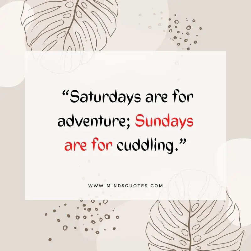 101+ BEST Happy Sunday Quotes for Inspiring Your Day 23 Sunday Quotes for Instagram