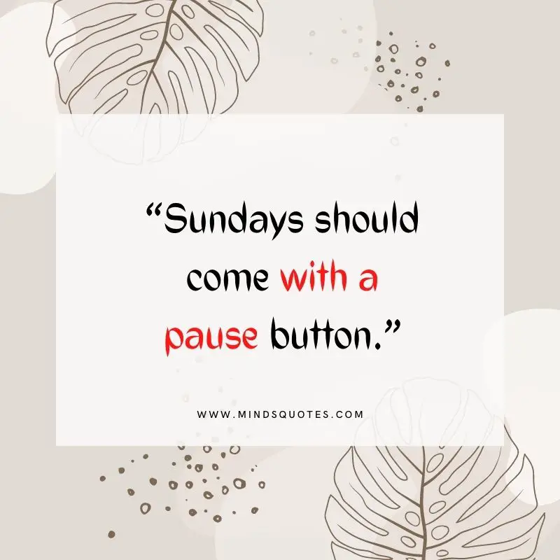101+ BEST Happy Sunday Quotes for Inspiring Your Day 27 Sunday Quotes for Status