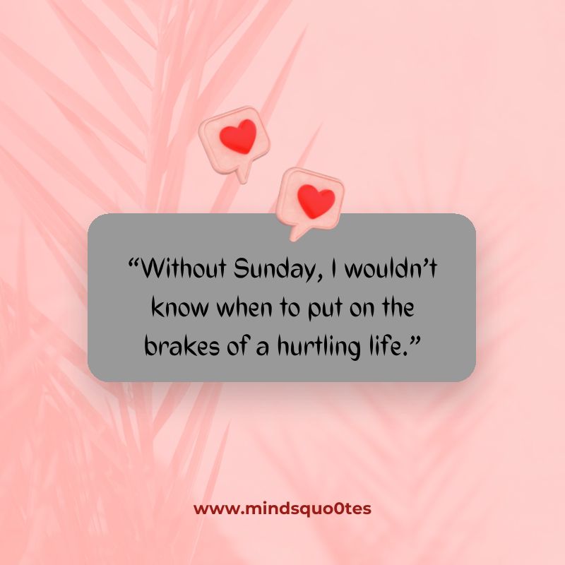 101+ BEST Happy Sunday Quotes for Inspiring Your Day 2 Sunday Quotes