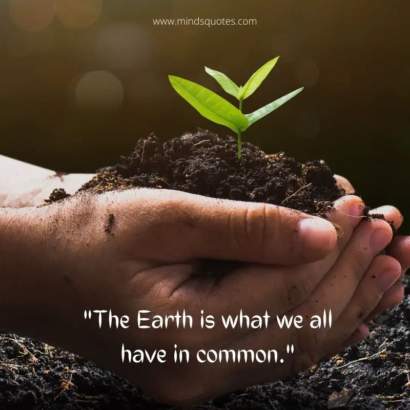 World Environment Day Quotes
