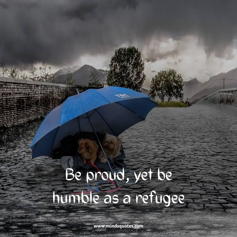 61+ BEST World Refugee Day Quotes, Messages & Slogans 16 World Refugee Day