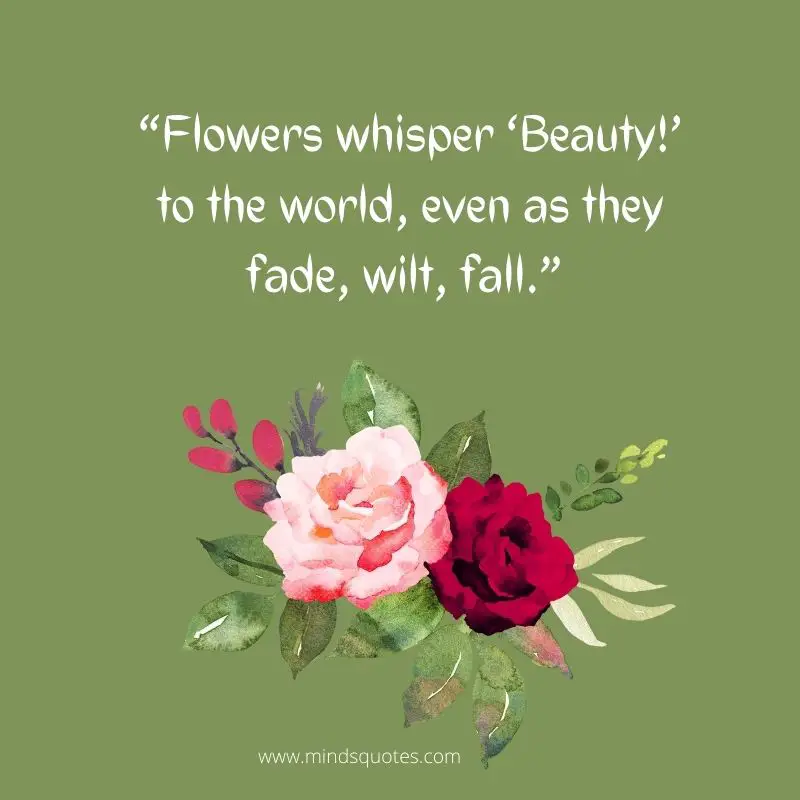 55+ BEST Flower Quotes For Love and Life & Peace 14 beautiful flowers quotes