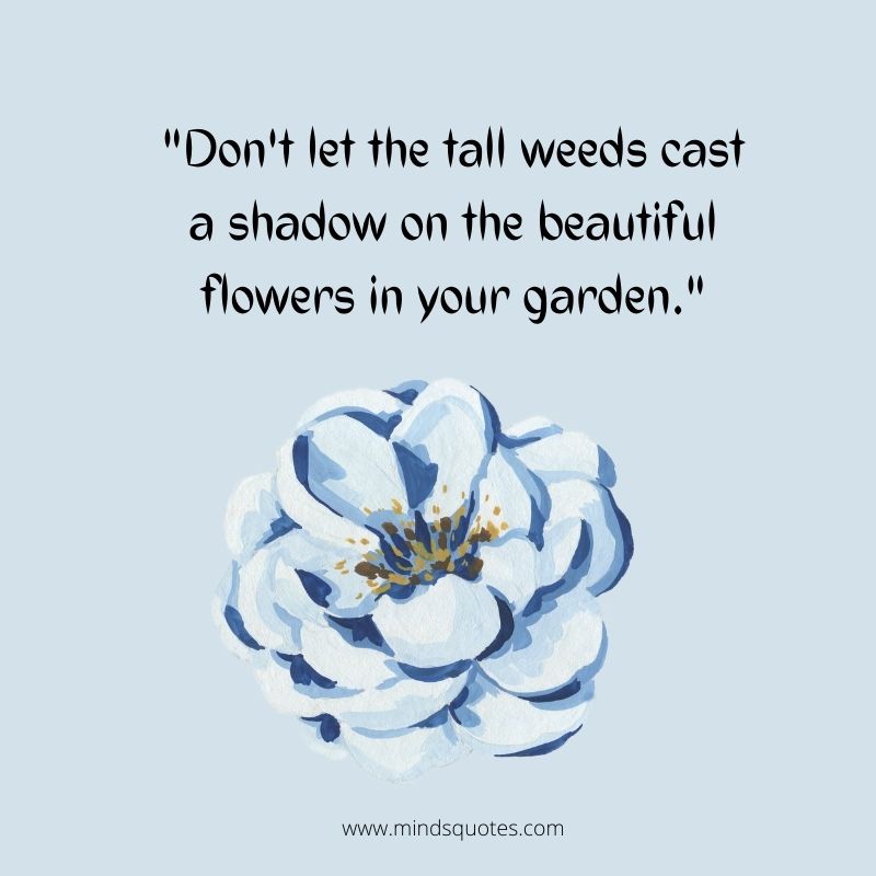 beautiful flowers quotes