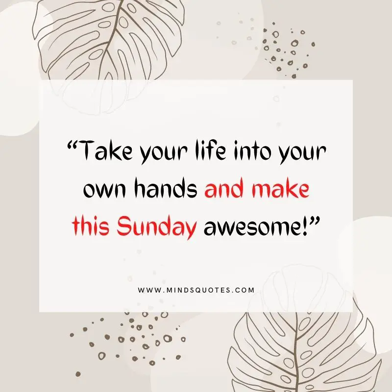 101+ BEST Happy Sunday Quotes for Inspiring Your Day 24 beautiful sunday quotes