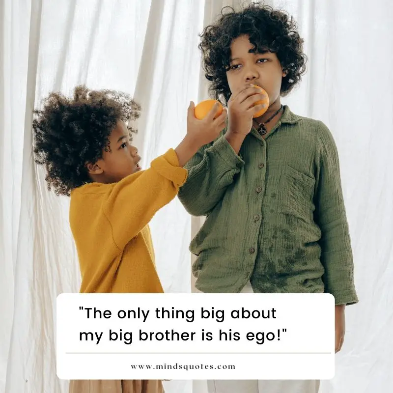120 BEST Heart Touching Emotional Brother and Sister Quotes 37 big brother quotes in english