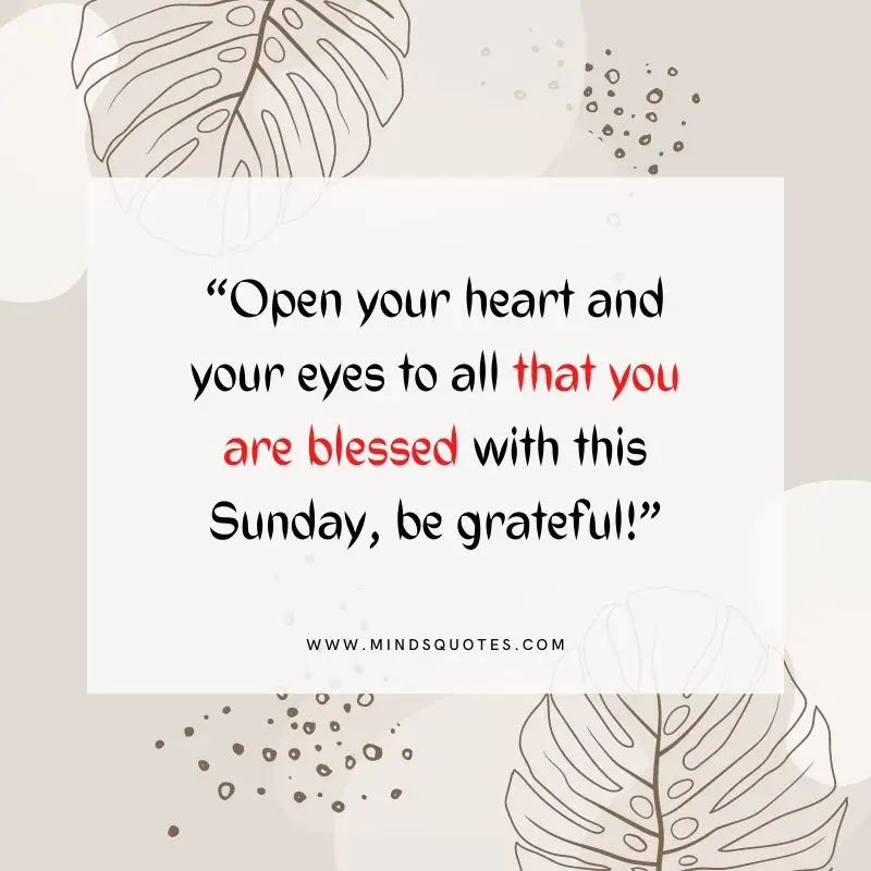 101+ BEST Happy Sunday Quotes for Inspiring Your Day 13 blessed sunday quotes