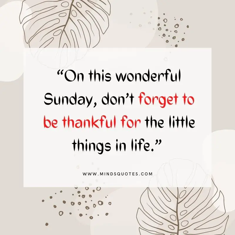 101+ BEST Happy Sunday Quotes for Inspiring Your Day 7 blessed sunday quotes