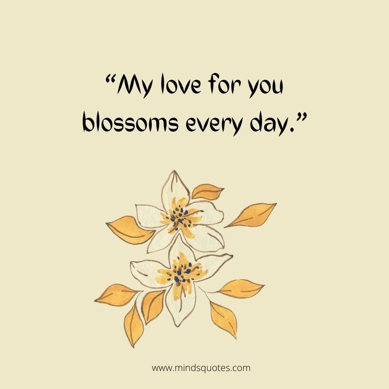 55+ BEST Flower Quotes For Love and Life & Peace 4 bloom like a flower quotes