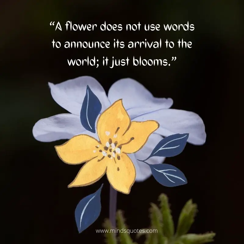 55+ BEST Flower Quotes For Love and Life & Peace 12 bloom quotes