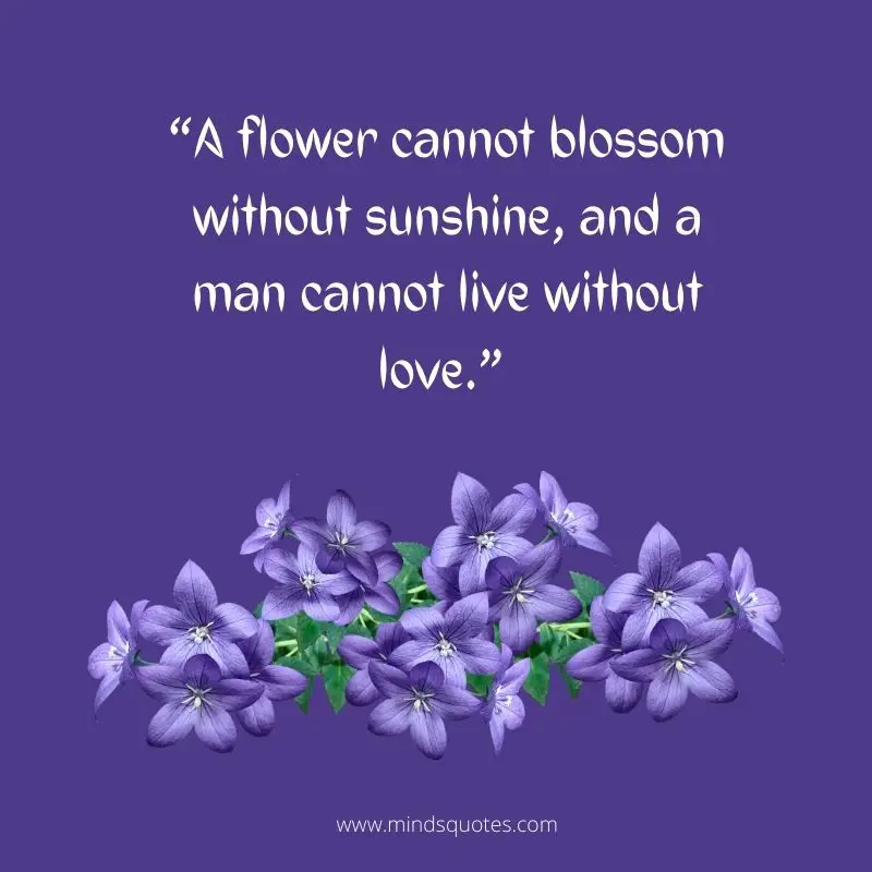 55+ BEST Flower Quotes For Love and Life & Peace 16 blossom quotes about life