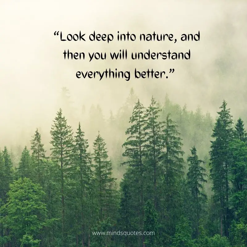environment day quotes
