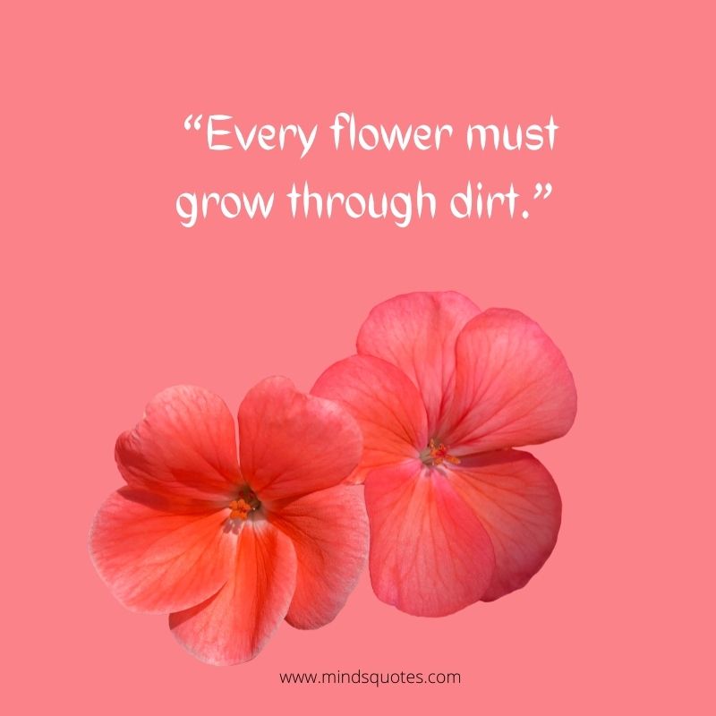 55+ BEST Flower Quotes For Love and Life & Peace 10 flower love quotes