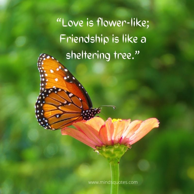 Flower Love Quotes