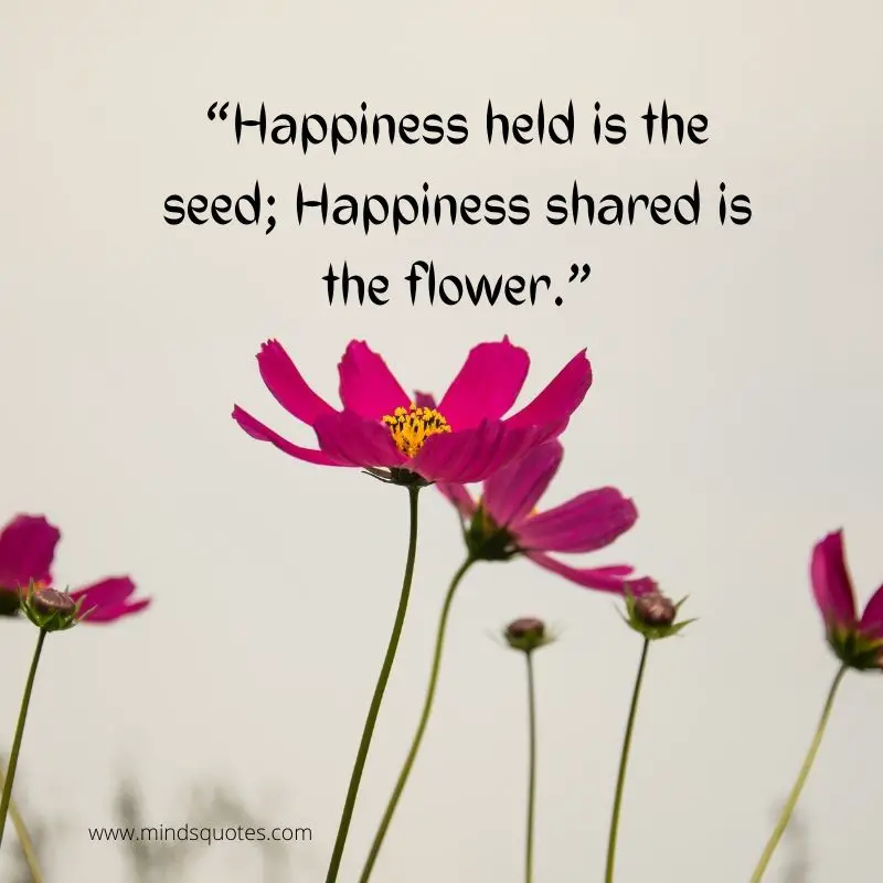 55+ BEST Flower Quotes For Love and Life & Peace 18 flowers make me happy quotes