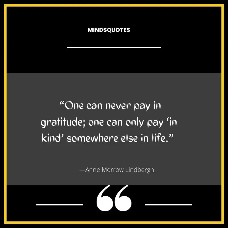87+ BEST Quotes of Thankfulness & Gratitude in English 26 gratitude quotes
