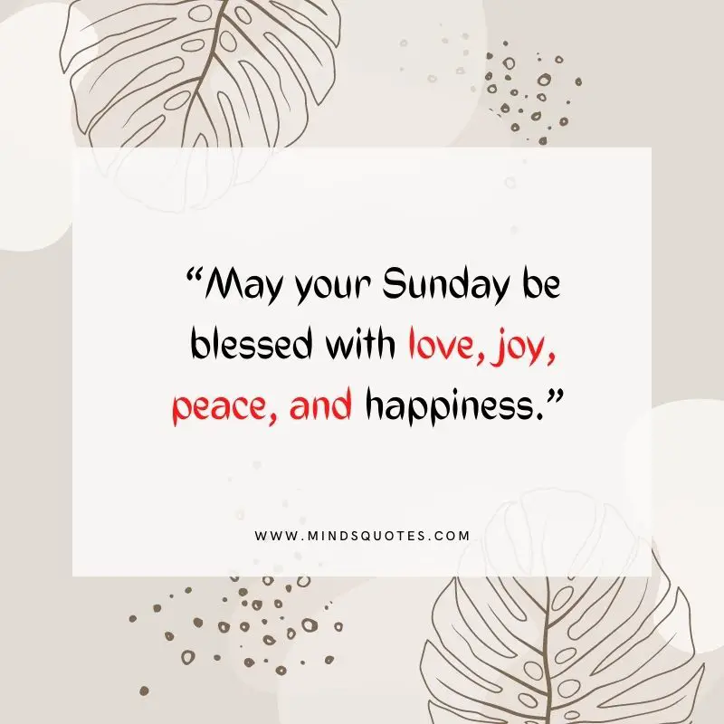 101+ BEST Happy Sunday Quotes for Inspiring Your Day 19 happy sunday blessings images
