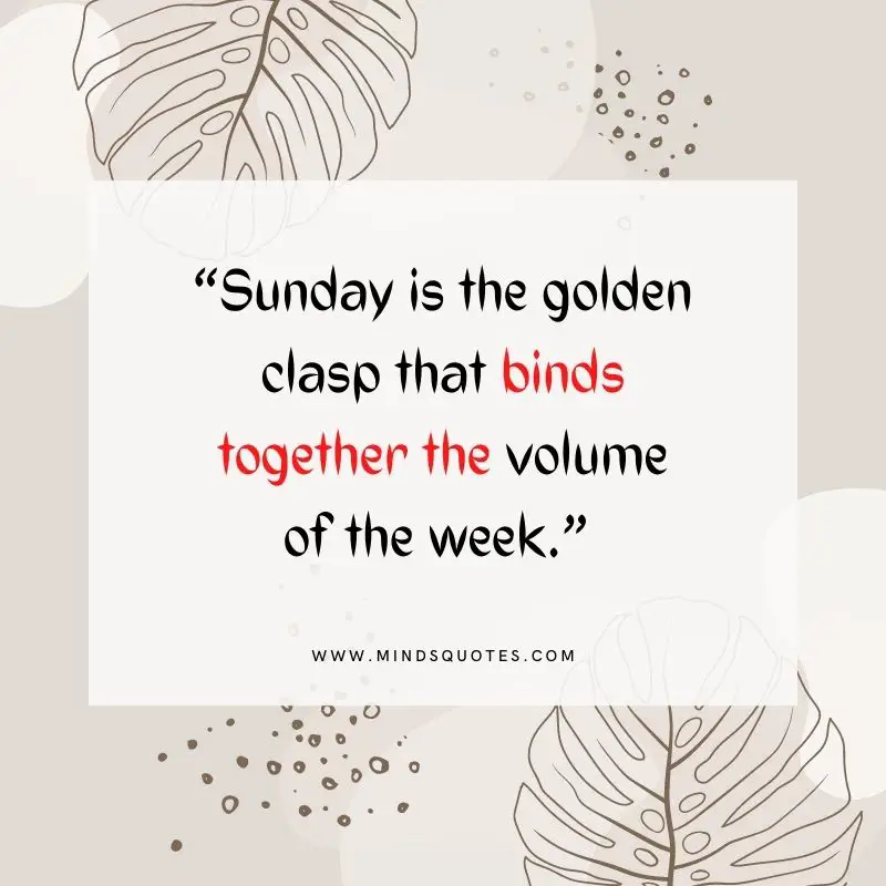 101+ BEST Happy Sunday Quotes for Inspiring Your Day 4 sunday quote of the day