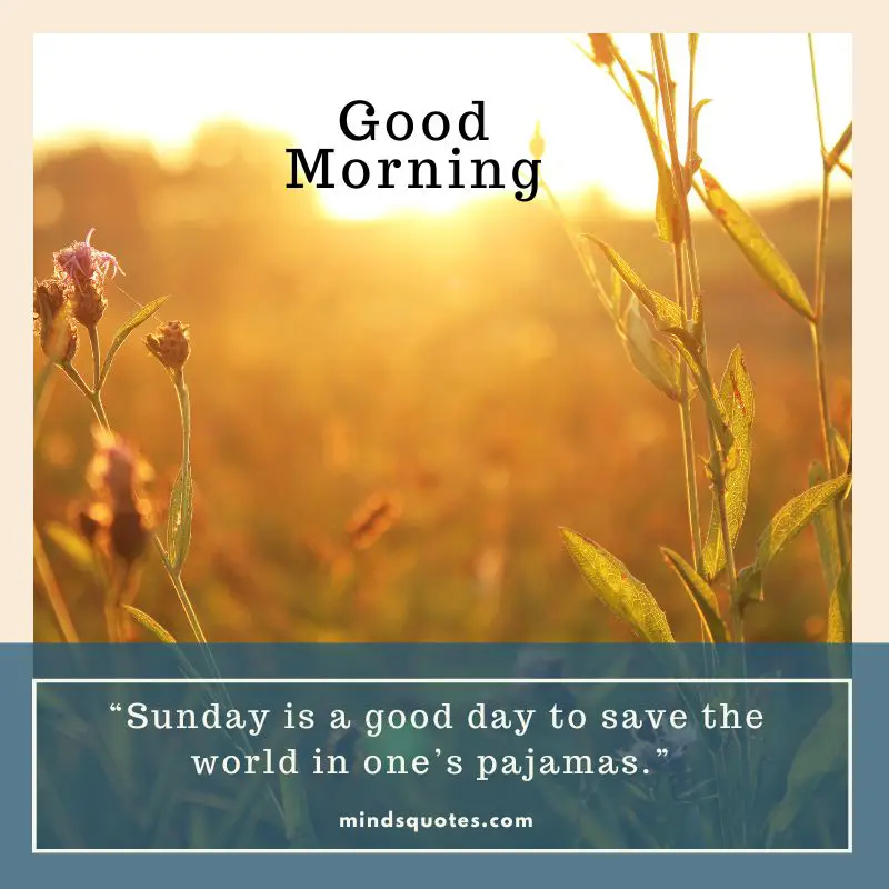 85 BEST Sunday Morning Quotes to Inspire You Every Week 6 happy sunday with sunday good morning images