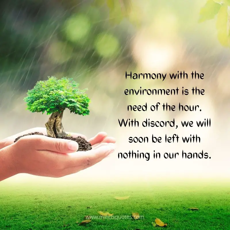 happy world environment day