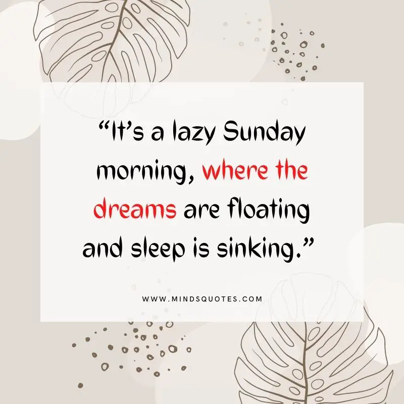101+ BEST Happy Sunday Quotes for Inspiring Your Day 22 lazy sunday quotes
