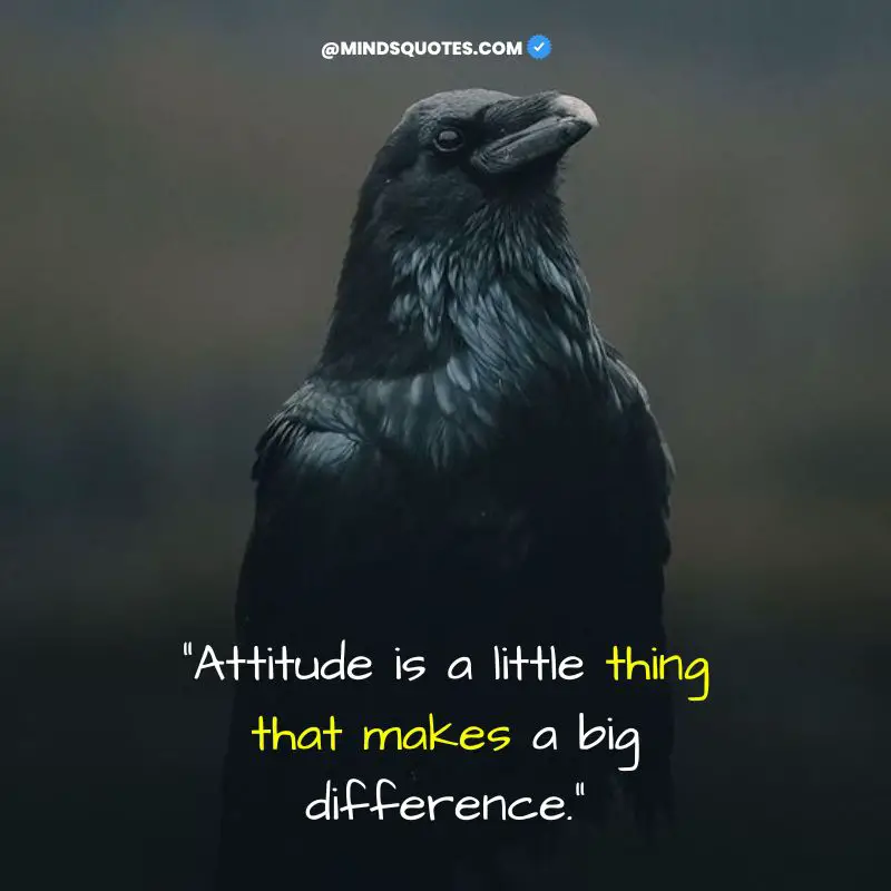 122+ BEST My Life My Rules Quotes for Attitude in English 11 my life my rules my attitude Status