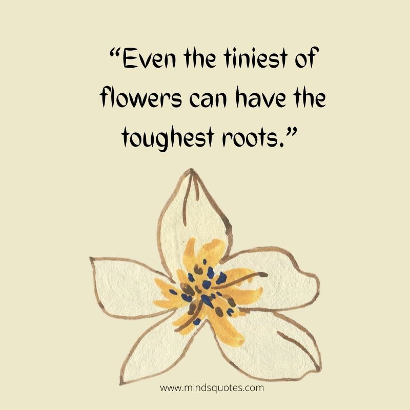 quotes about plants and flowers