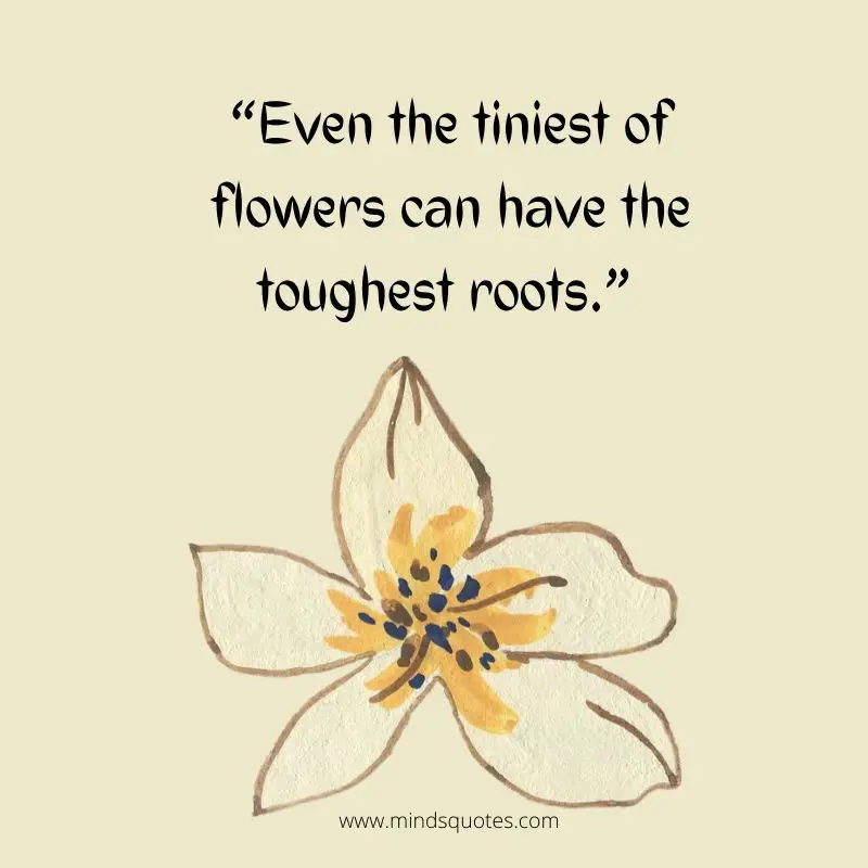 55+ BEST Flower Quotes For Love and Life & Peace 11 quotes about plants and flowers