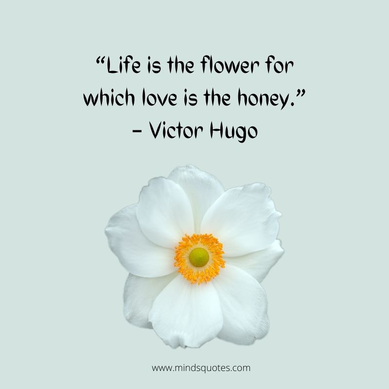 quotes on flowers and life for whatsapp Staus