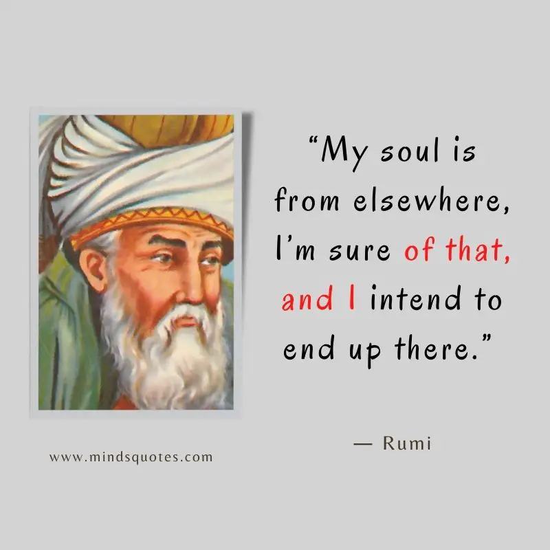 133+ inspiring Rumi Quotes On Life, Love, And Happiness 30 rumi quotes about soul
