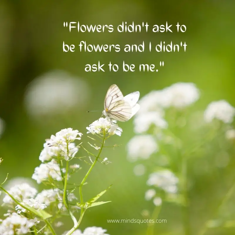 55+ BEST Flower Quotes For Love and Life & Peace 24 sad flower quotes