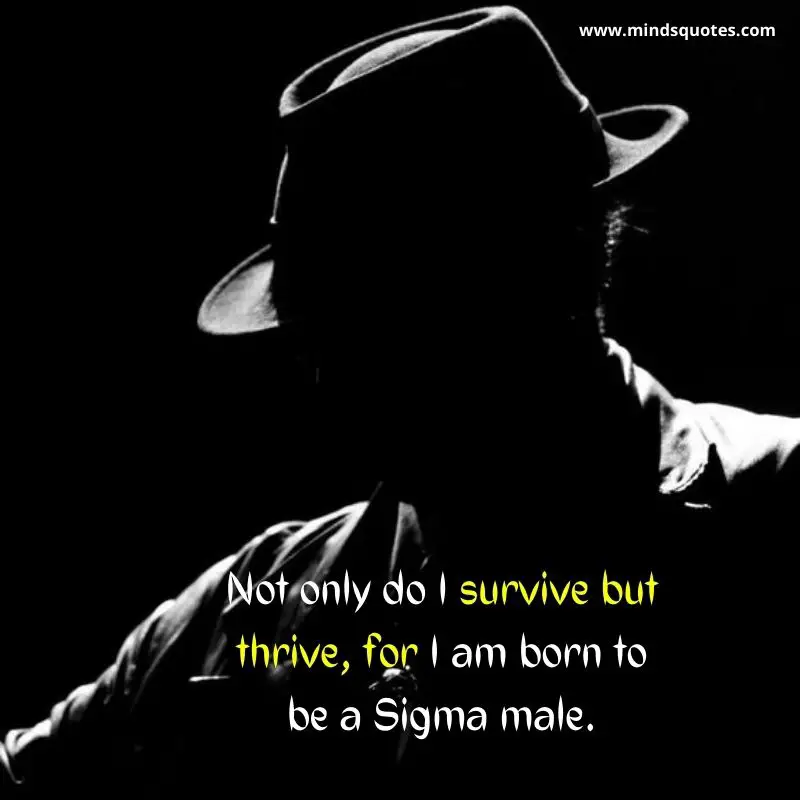 95 BEST Attitude Sigma Rule Quotes In English 95 BEST Attitude Sigma Rule Quotes In English
