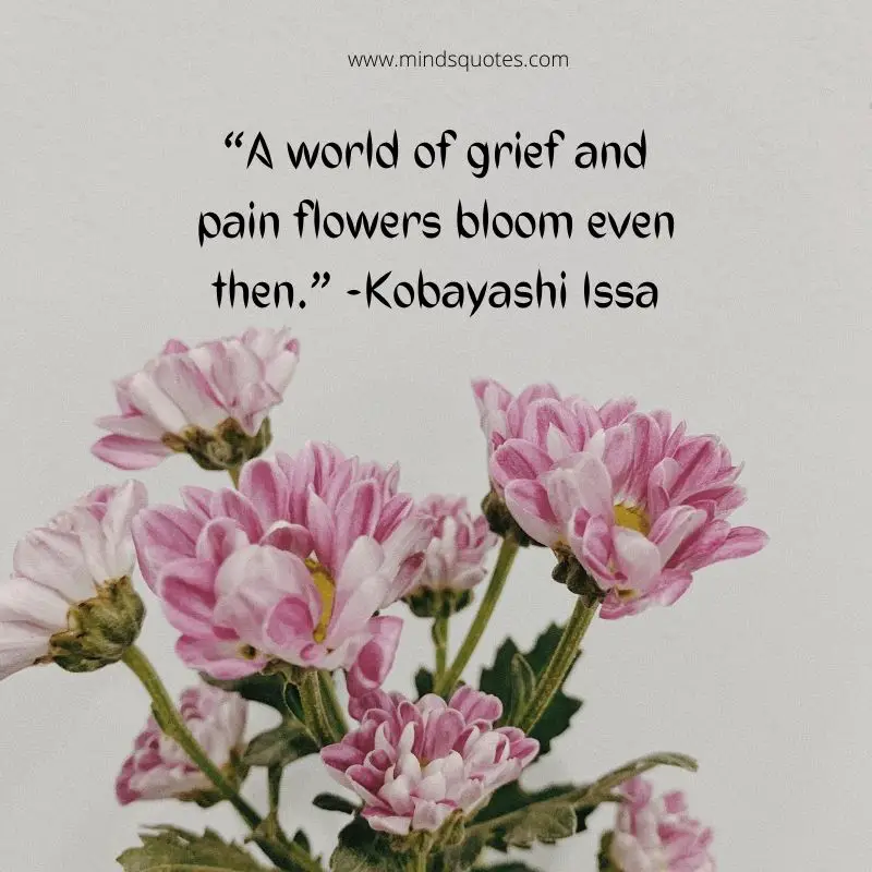 55+ BEST Flower Quotes For Love and Life & Peace 26 single flower quotes