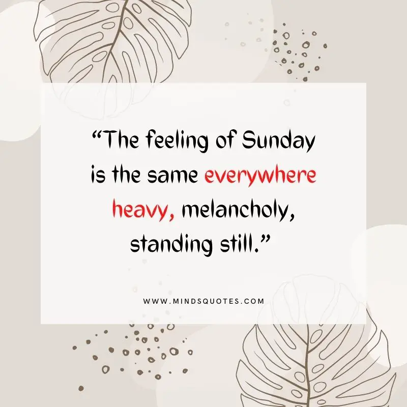 101+ BEST Happy Sunday Quotes for Inspiring Your Day 16 sunday inspirational quotes