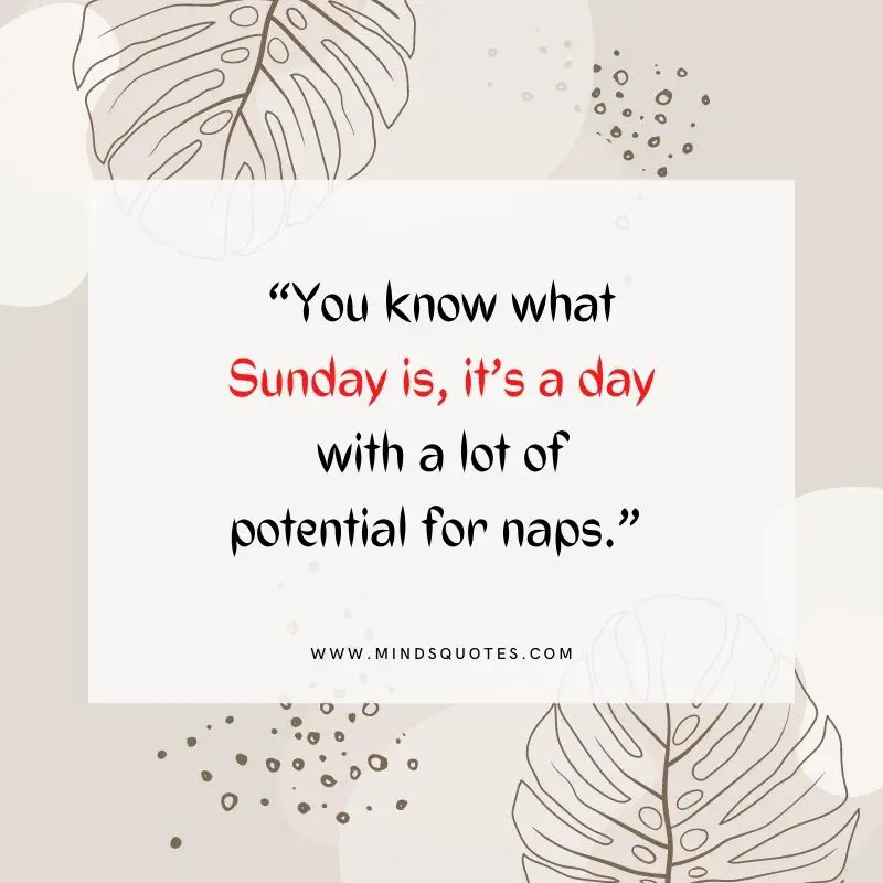 101+ BEST Happy Sunday Quotes for Inspiring Your Day 15 sunday motivational quotes