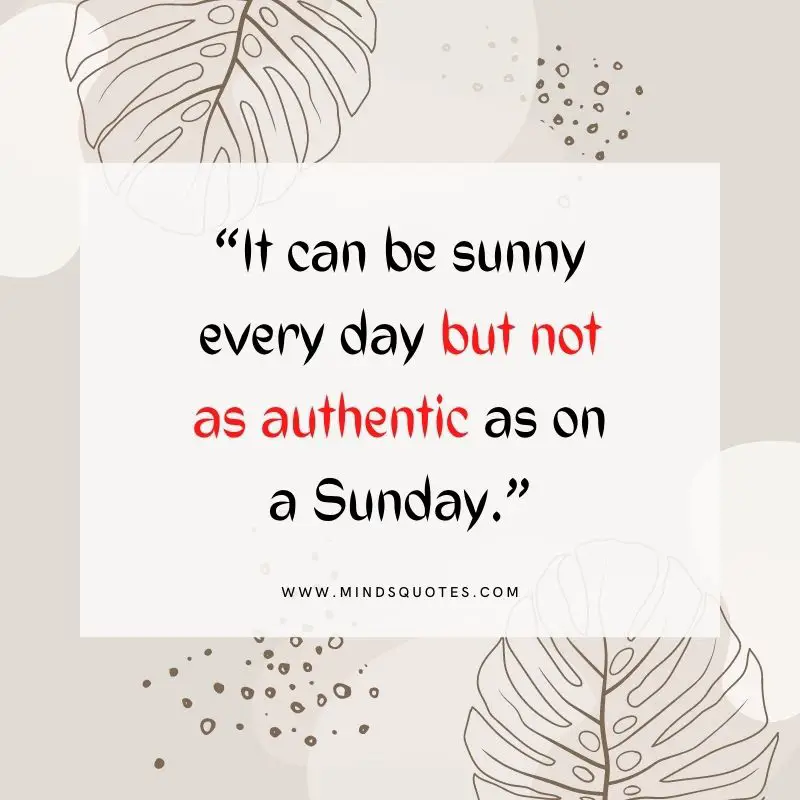101+ BEST Happy Sunday Quotes for Inspiring Your Day 29 sunday quotes authentic