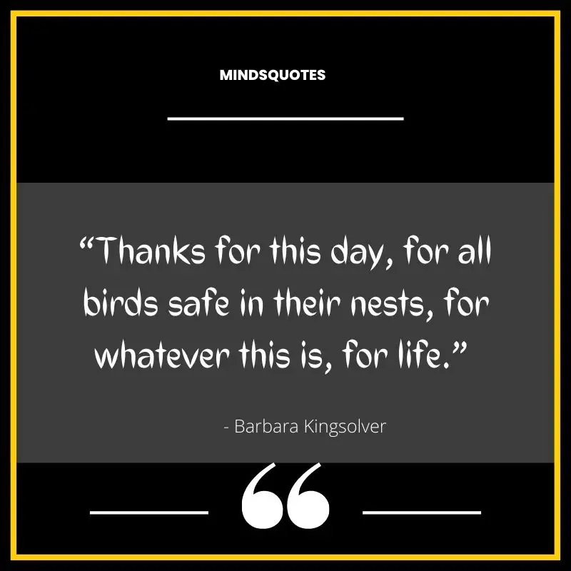 87+ BEST Quotes of Thankfulness & Gratitude in English 9 thanks quotes
