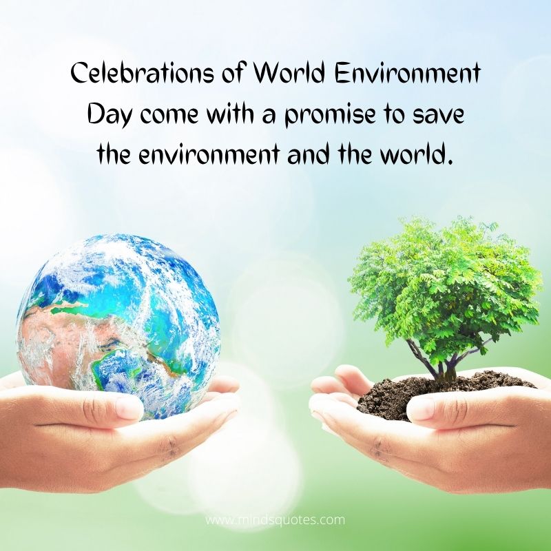 the world environment day is celebrated on