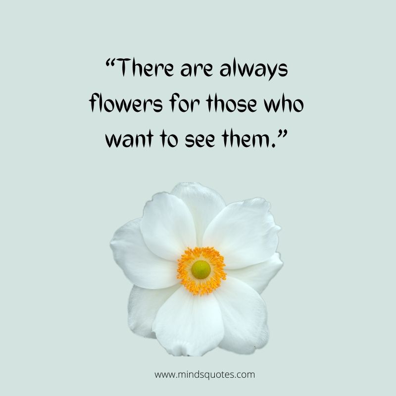 55+ BEST Flower Quotes For Love and Life & Peace 8 white flower quotes