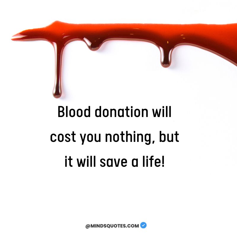 world donor day 2023