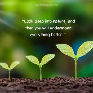 50+ BEST World Environment Day Quotes And Slogans [5 June]