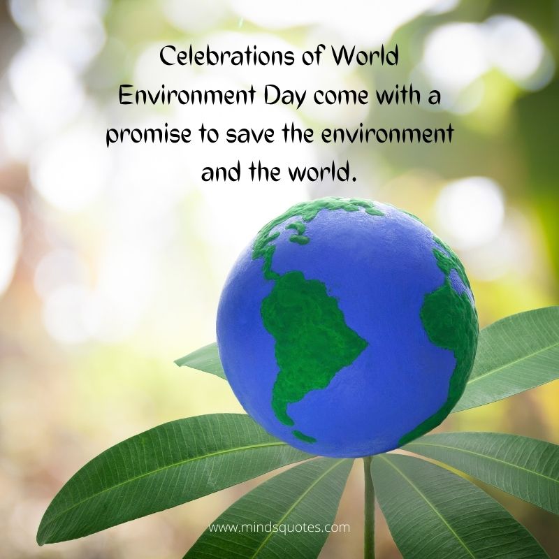world environment day is celebrated on